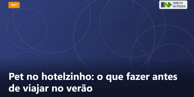 Pet no hotelzinho: o que fazer antes de viajar no verão — Direto Notícias