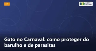 Gato no Carnaval: como proteger do barulho e de parasitas — Direto Notícias