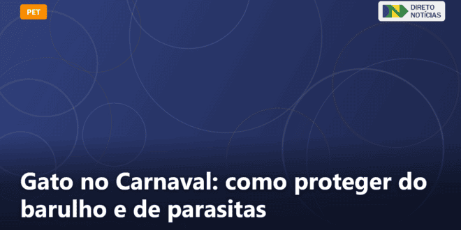 Gato no Carnaval: como proteger do barulho e de parasitas — Direto Notícias