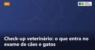 Check-up veterinário: o que entra no exame de cães e gatos — Direto Notícias
