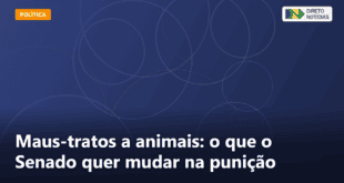 Maus-tratos a animais: o que o Senado quer mudar na punição — Direto Notícias