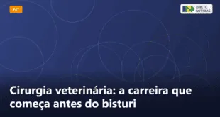 Cirurgia veterinária: a carreira que começa antes do bisturi — Direto Notícias