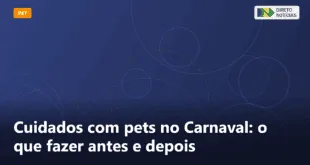 Cuidados com pets no Carnaval: o que fazer antes e depois — Direto Notícias
