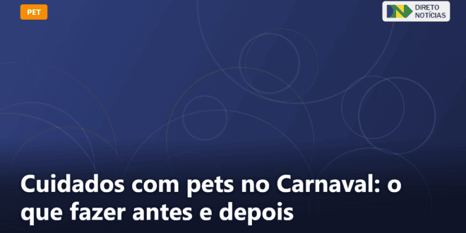 Cuidados com pets no Carnaval: o que fazer antes e depois — Direto Notícias