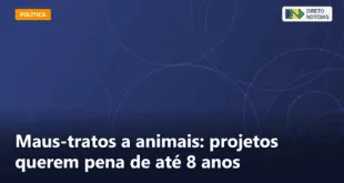 Maus-tratos a animais: projetos querem pena de até 8 anos — Direto Notícias
