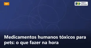 Medicamentos humanos tóxicos para pets: o que fazer na hora — Direto Notícias