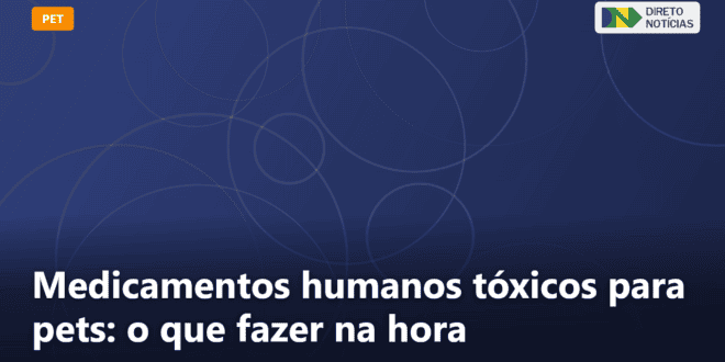 Medicamentos humanos tóxicos para pets: o que fazer na hora — Direto Notícias