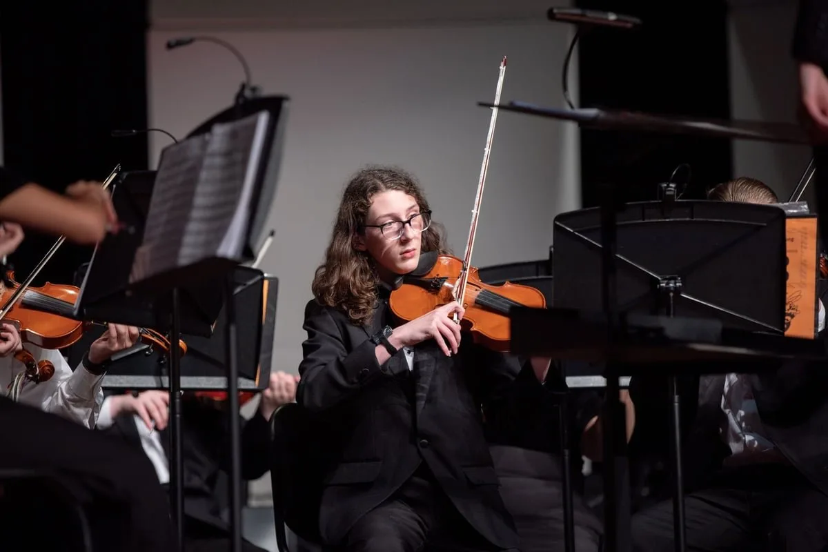 Músico tocando violino durante apresentação ao vivo