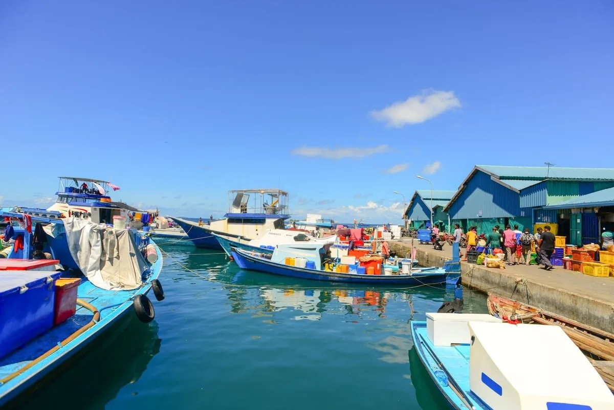 Motor de barco pequeno com proteção instalada sobre o eixo em rio da Amazônia