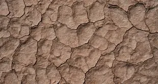 Imagem ilustrativa relacionada a Dia Mundial de Combate à Desertificação e à Seca