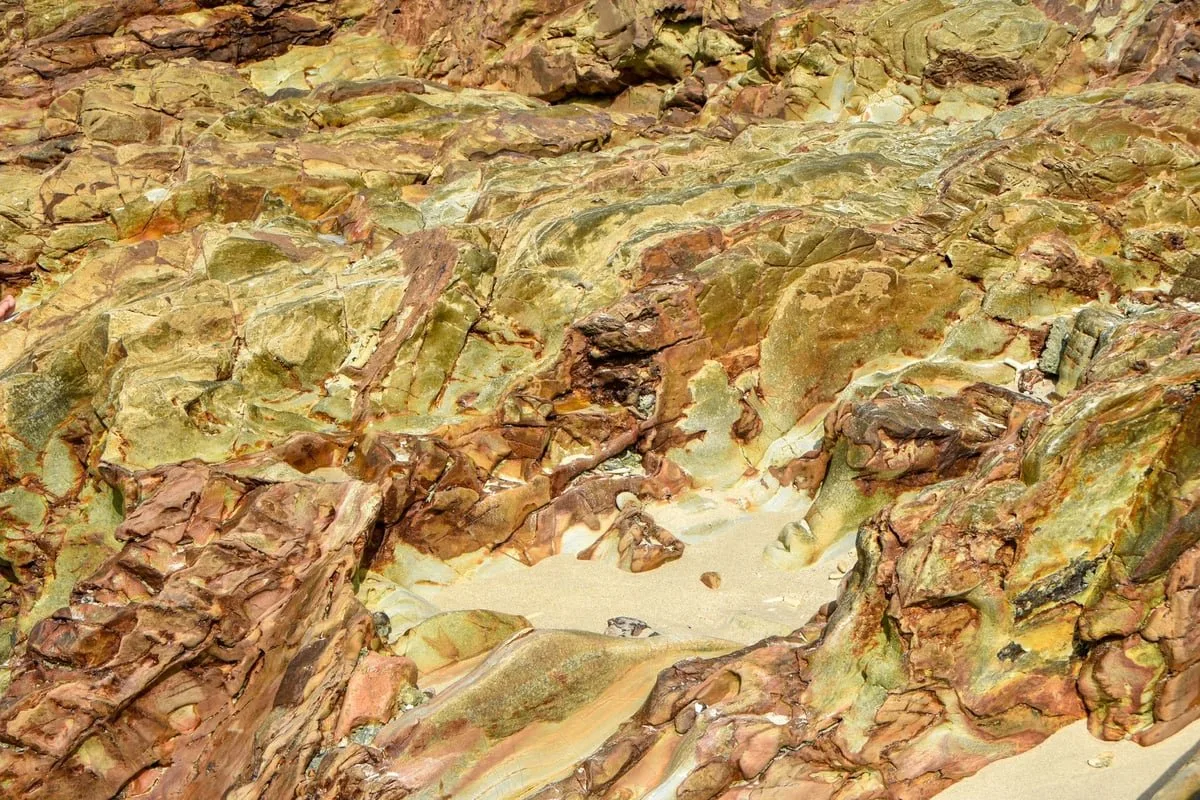 Fóssil de concha marinha exposto sobre rocha em acervo de paleontologia