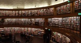Estante de livros organizada em uma biblioteca, representando o trabalho lembrado no Dia do Bibliotecário