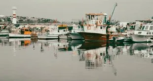 Ilustração remete a um barco a vapor navegando por um rio largo cercado de vegetação