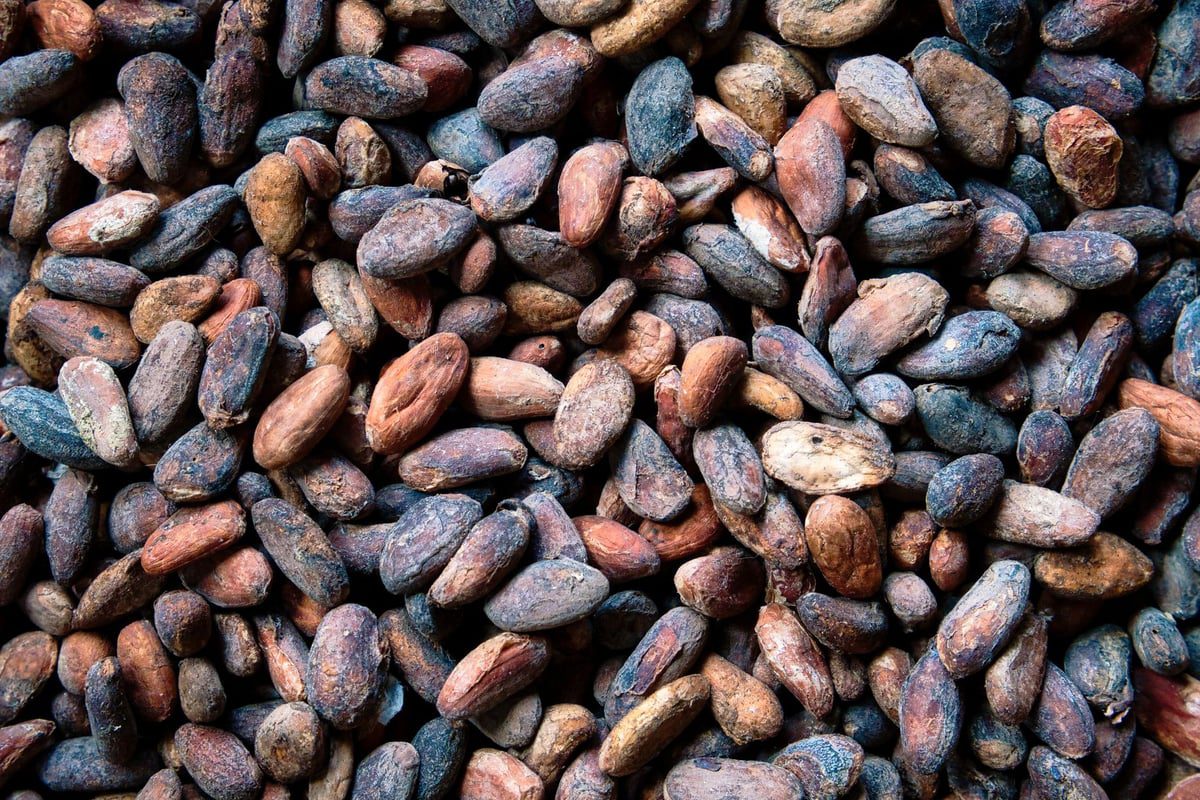 Barras e pedaços de chocolate derretido dispostos sobre uma mesa de madeira