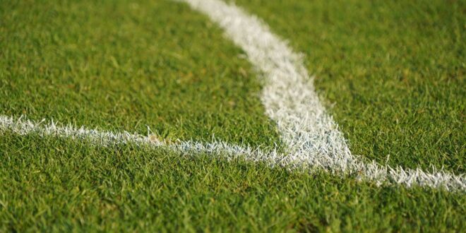Linha branca pintada no gramado de um campo de futebol, ilustração sobre Bahia vira sobre o Bragantino