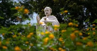 Imagem ilustrativa relacionada a Dia de São Francisco de Assis