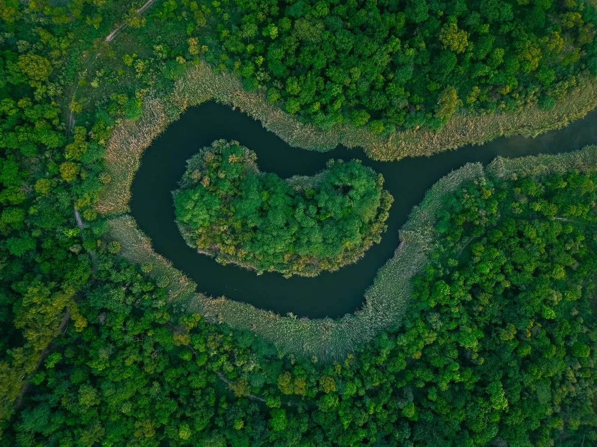 Curso de rio cercado por vegetação sob luz de fim de tarde