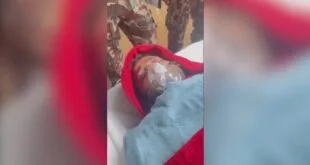 Bebê recém-nascido envolto em pano vermelho e branco, ilustração sobre trabalhador resgatado no Nepal