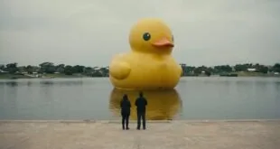 pato do Master