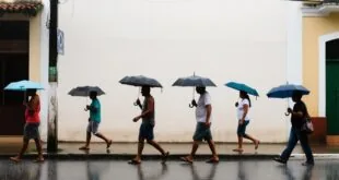 Pessoas com guarda-chuvas em rua molhada, clima para amanhã chuvoso