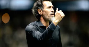 diferença no Galo