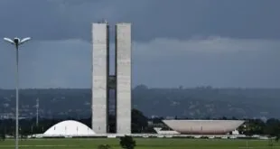 assistência social