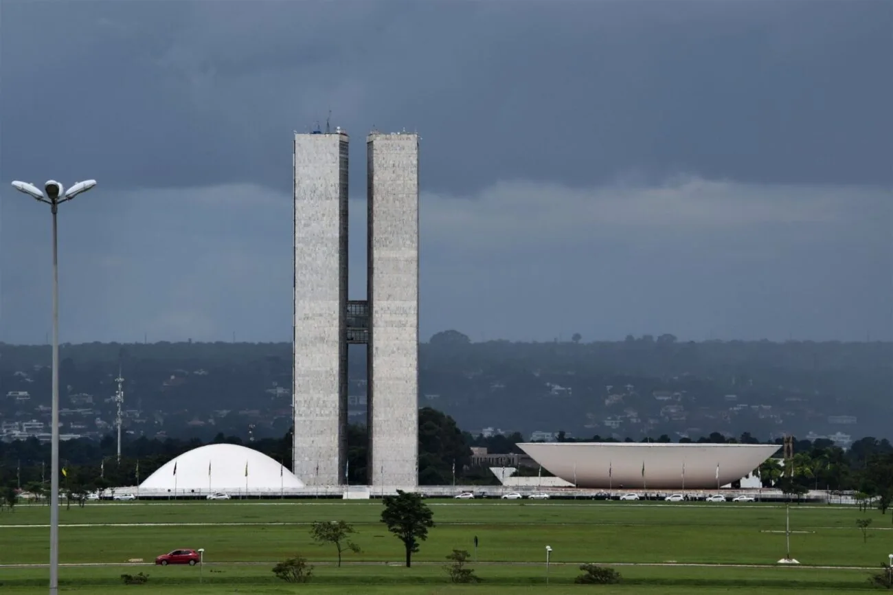 assistência social