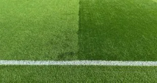 santos x flamengo