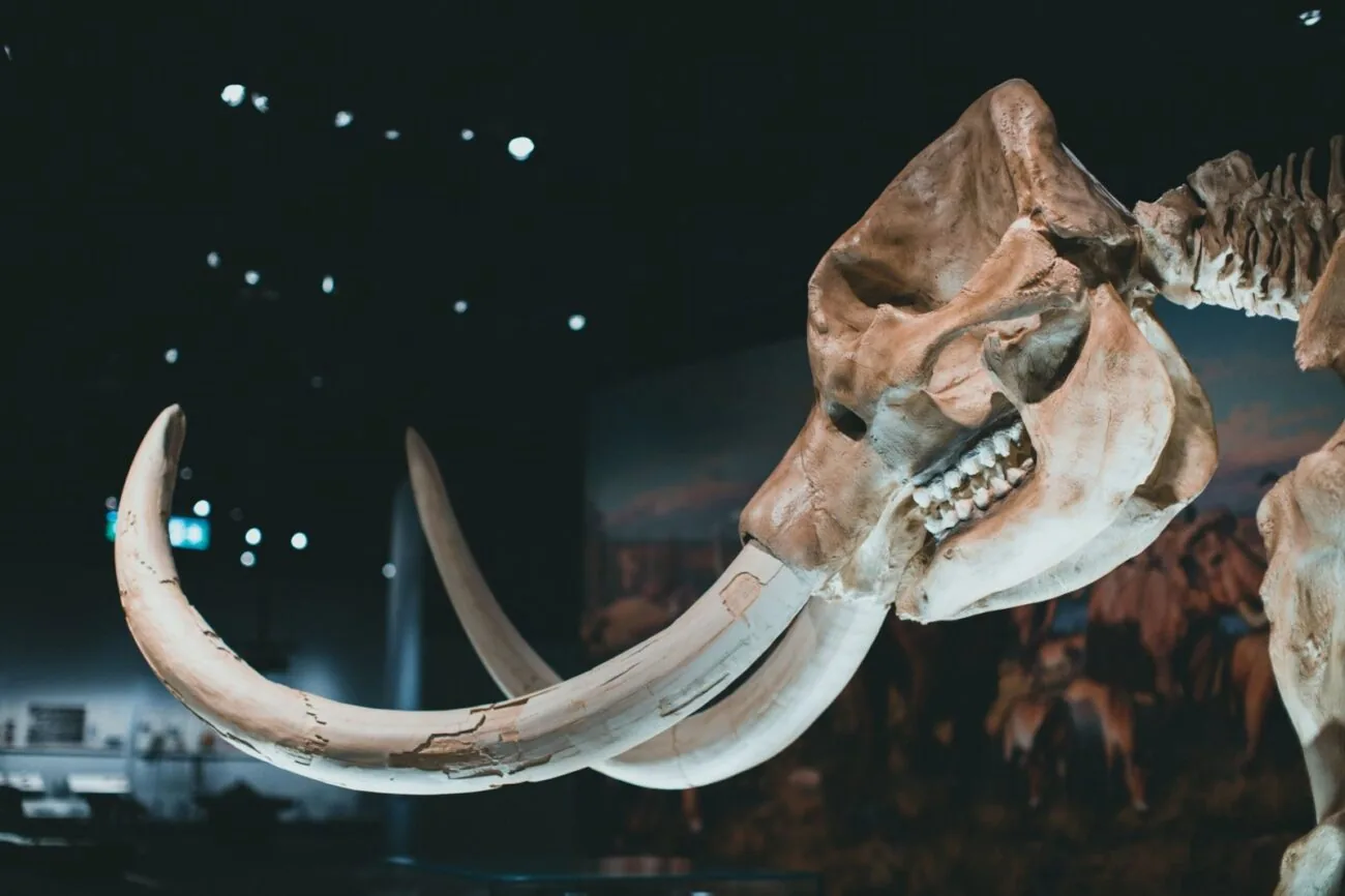 ressurreição de espécies extintas