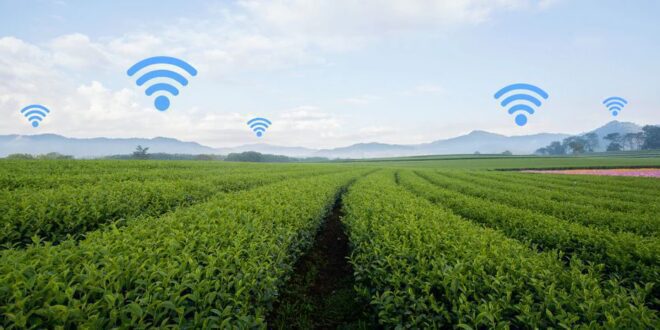 Uso da Internet avança em áreas rurais