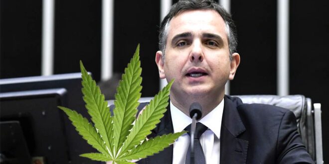 Pacheco sobe o tom e diz que liberar drogas por decisão do STF é ‘grave’