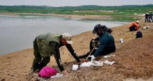 Seca e ribeirinhos revelam fósseis de gigantes na Amazônia | Climatempo