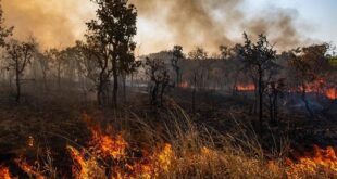 Como mudanças climáticas impulsionam incêndios no Brasil | Climatempo