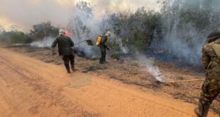 Militares combatem chamas na vegetação à margem de uma estrada de terra, em meio a fumaça densa.