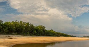 Seca na Bacia do Rio Amazonas preocupa cadeia do abastecimento | Climatempo