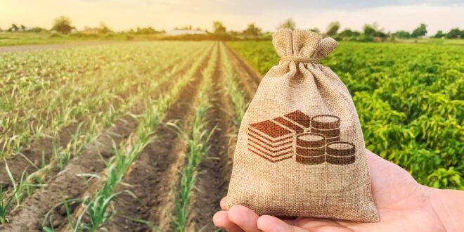 Agro cresce em comercialização, mas gastos faz PIB do setor ter queda, diz levantamento do IBPT