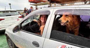 Jovem larga emprego para viajar pelo Brasil ao lado de pet em carro popular