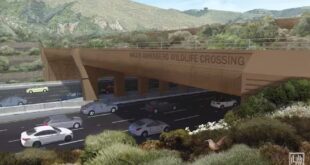 Em breve Califórnia terá a maior ponte do mundo dedicada à travessia segura de animais