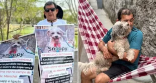 Idoso que buscava cachorro com cartaz pendurado no pescoço o reencontra após seis meses no Piauí –