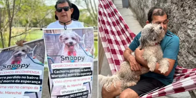 Idoso que buscava cachorro com cartaz pendurado no pescoço o reencontra após seis meses no Piauí –