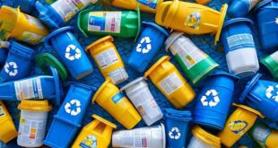 5 razões para conhecer o ReciclaFolia no Carnaval 2026