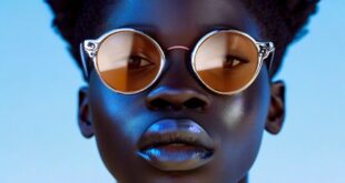 Tosar seu pet no calor é seguro ou perigoso?