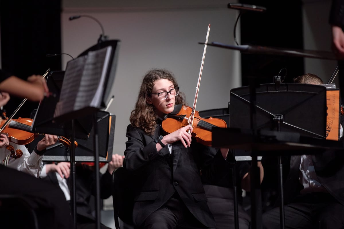 Músico tocando violino durante apresentação ao vivo