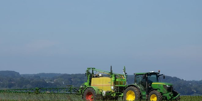 Imagem ilustrativa relacionada a Dia Nacional do Campo Limpo