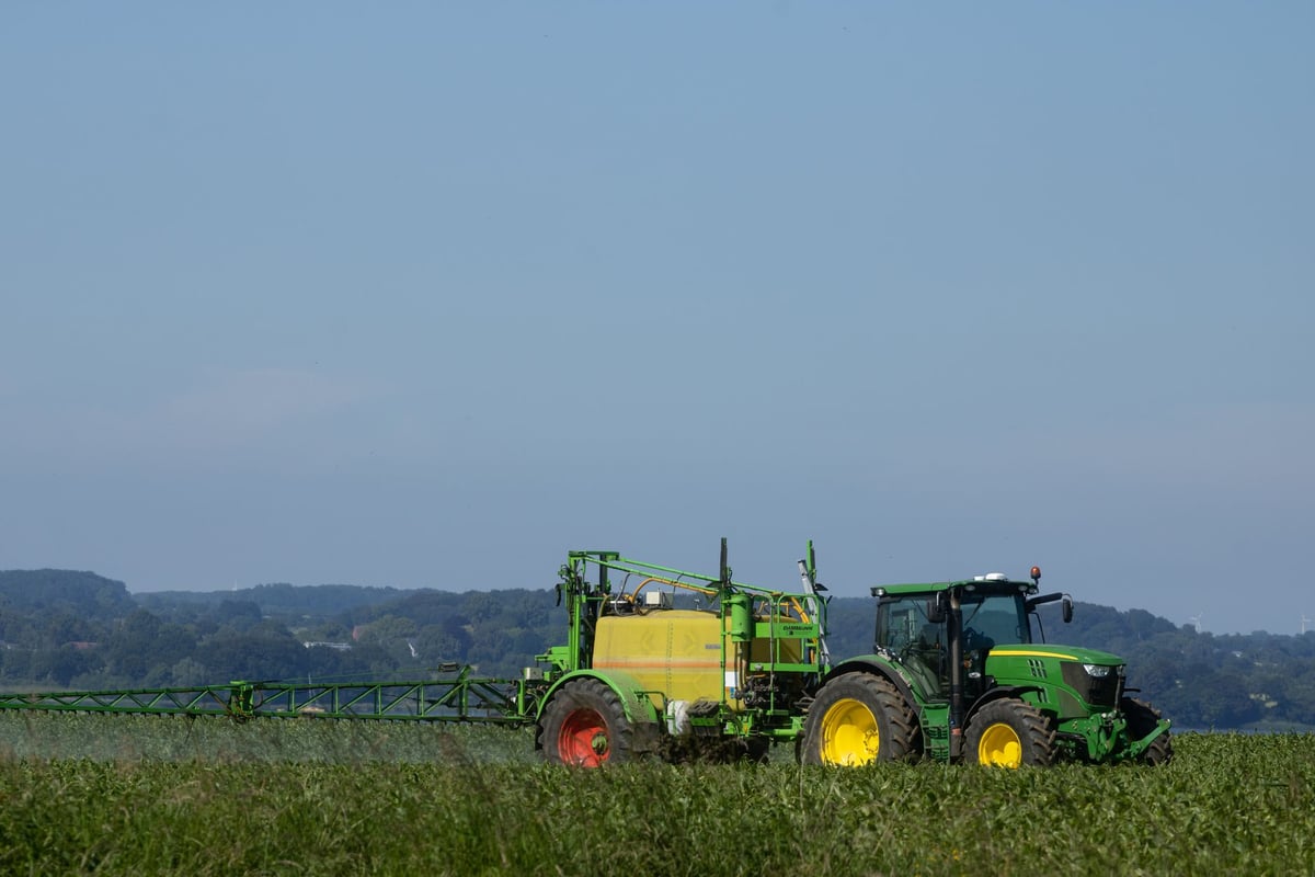 Imagem ilustrativa relacionada a Dia Nacional do Campo Limpo