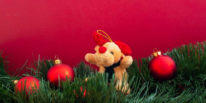 Imagem ilustrativa relacionada a aniversário da cidade de Natal