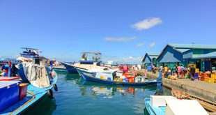 Motor de barco pequeno com proteção instalada sobre o eixo em rio da Amazônia