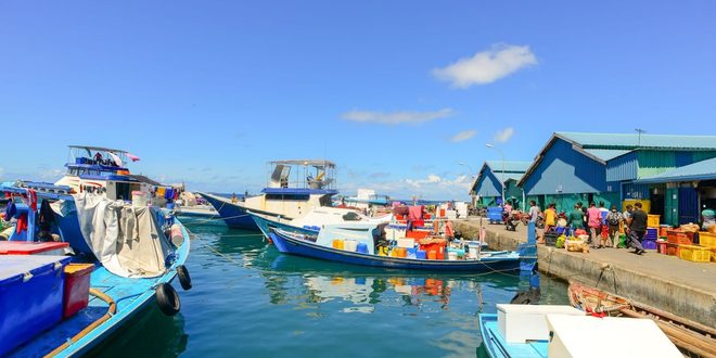 Motor de barco pequeno com proteção instalada sobre o eixo em rio da Amazônia