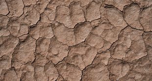 Imagem ilustrativa relacionada a Dia Mundial de Combate à Desertificação e à Seca