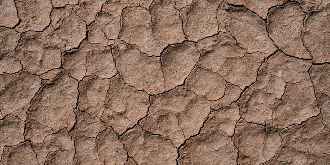 Imagem ilustrativa relacionada a Dia Mundial de Combate à Desertificação e à Seca